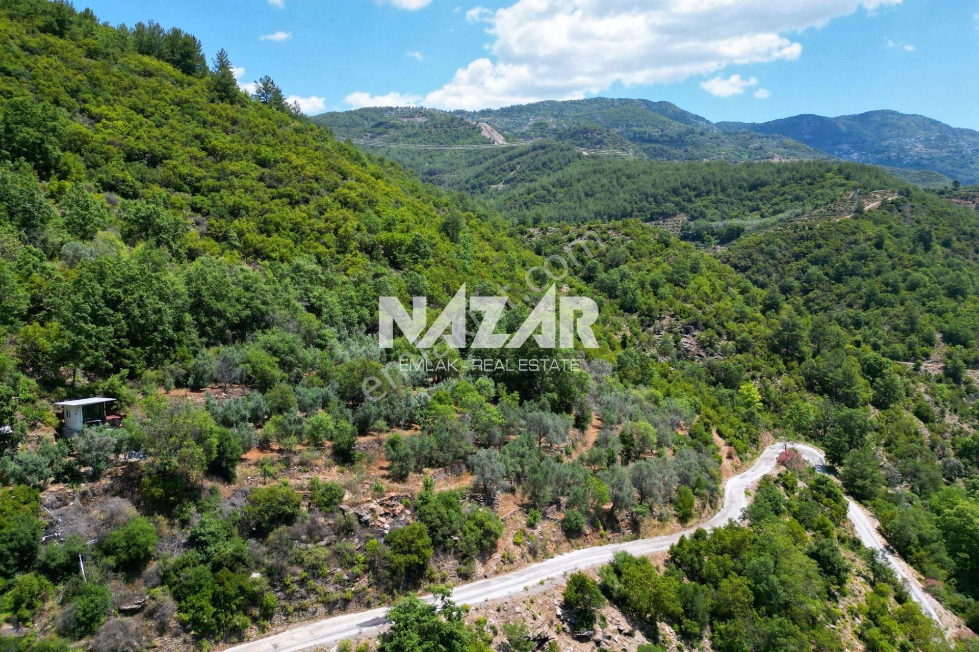 Alanya Mahmutseydi'de Satılık 1.411 M² Tarla - Görsel 5