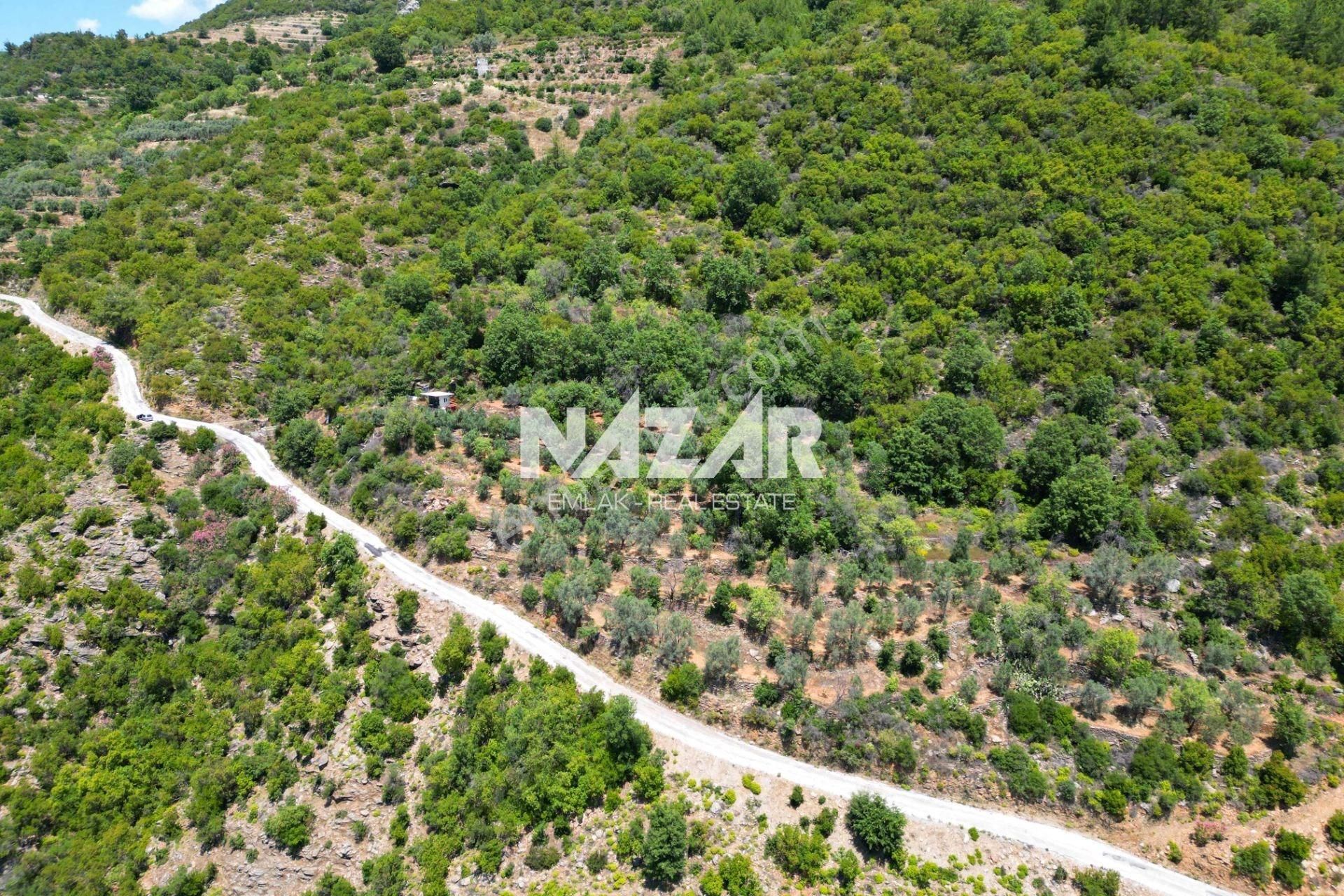 Alanya Mahmutseydi'de Satılık 1.411 M² Tarla - Görsel 6