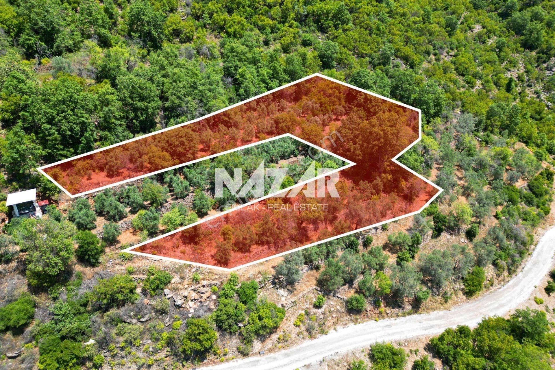 Alanya Mahmutseydi'de Satılık 1.411 M² Tarla - Görsel 3