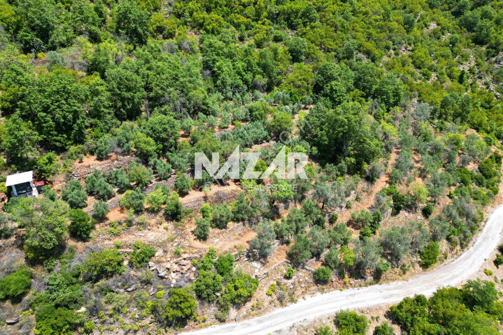 Alanya Mahmutseydi'de Satılık 1.411 M² Tarla - Görsel 7