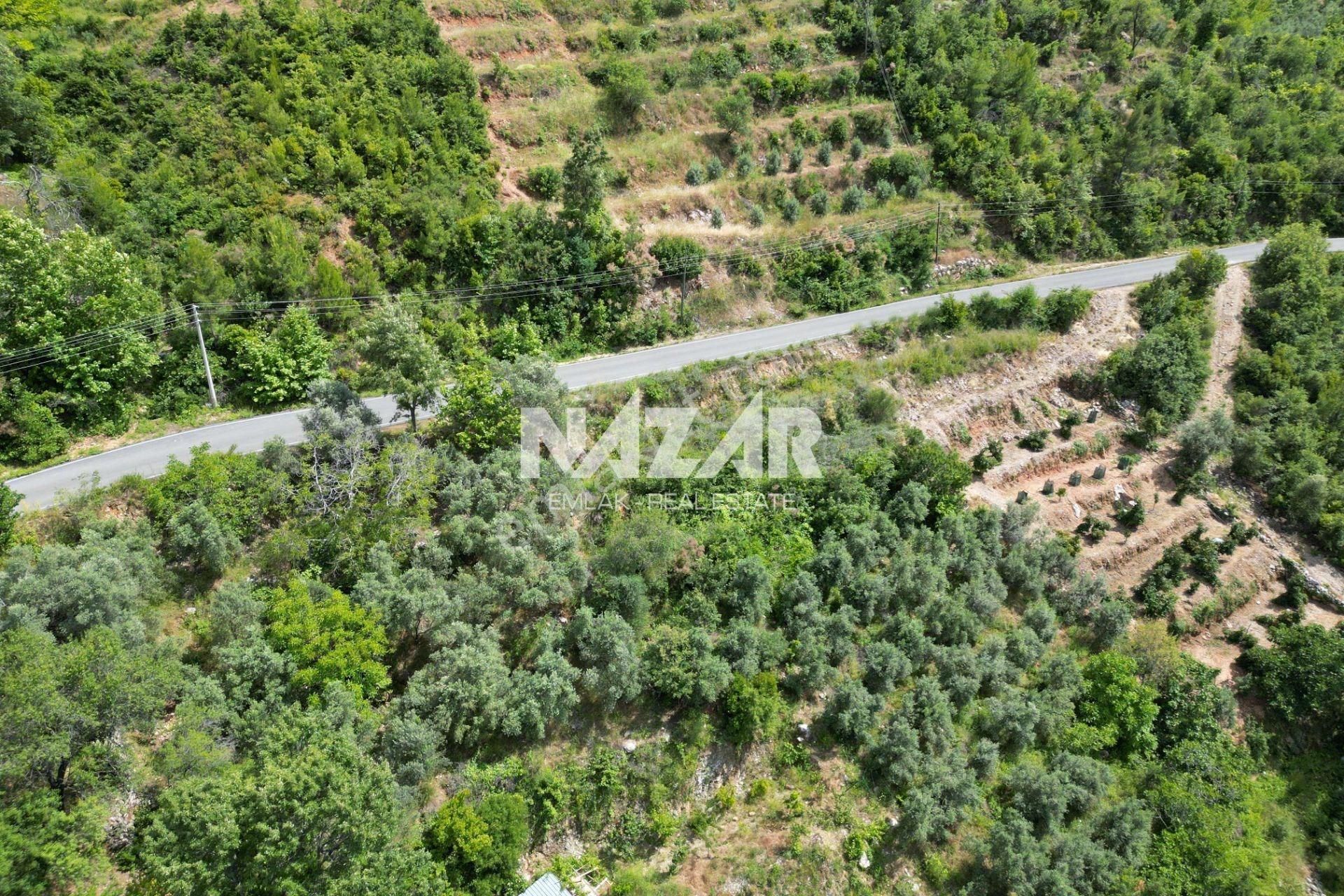 Alanya Türktaş'ta Satılık 863 M² Tarla - Görsel 9