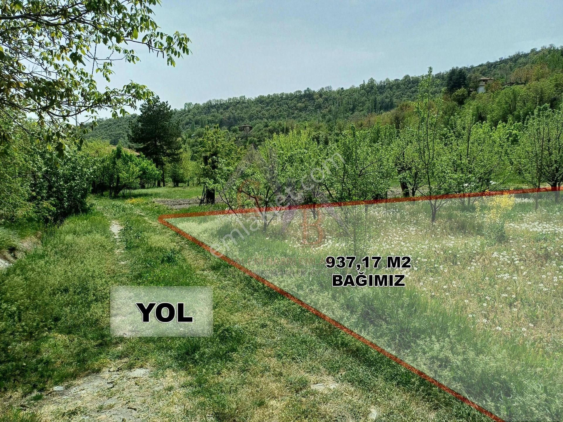 Kastamonu - Tosya Gökyer Mevkinde Satılık 1,5 Dönüm Bağ - Görsel 8