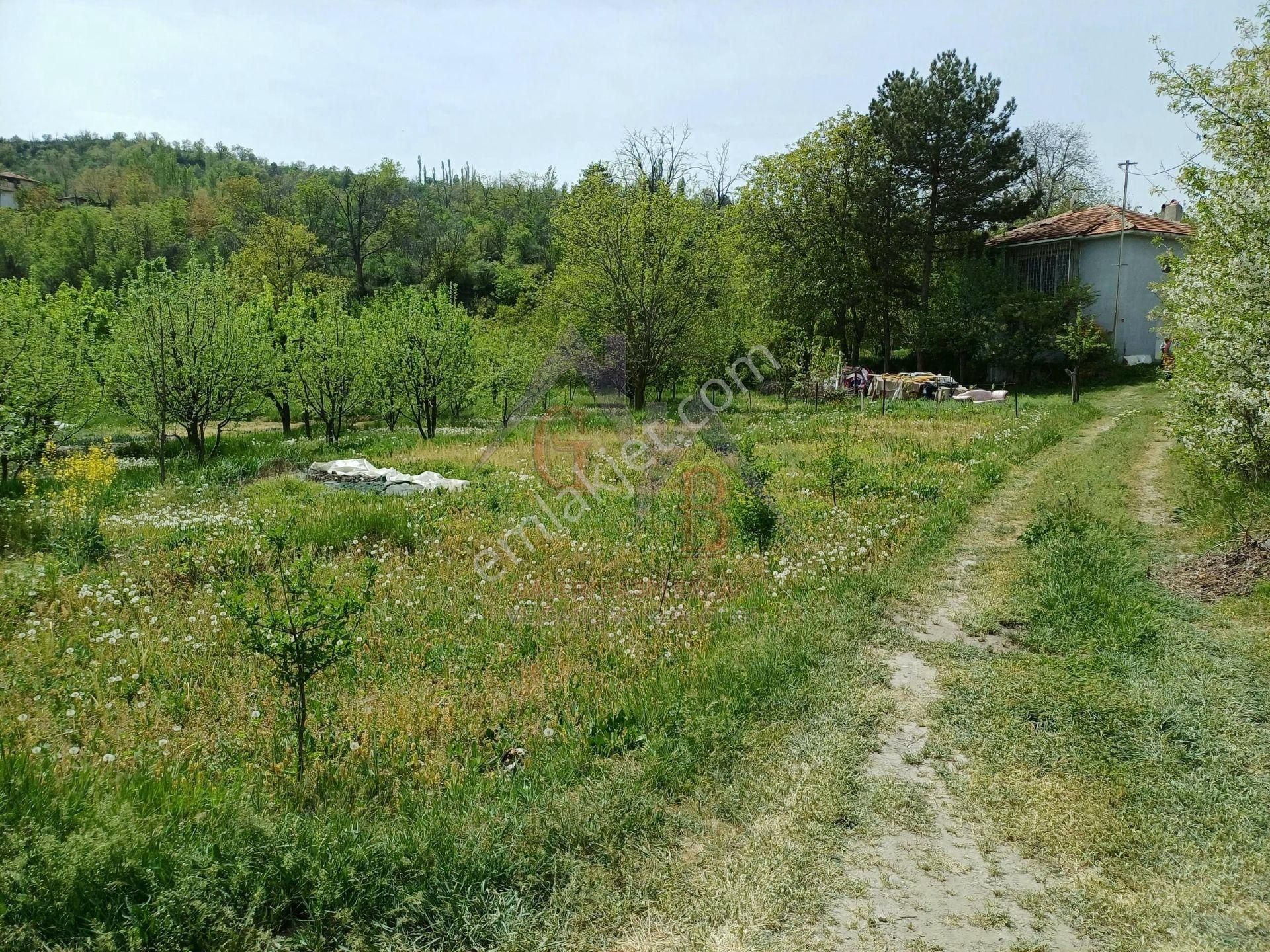 Kastamonu - Tosya Gökyer Mevkinde Satılık 1,5 Dönüm Bağ - Görsel 9