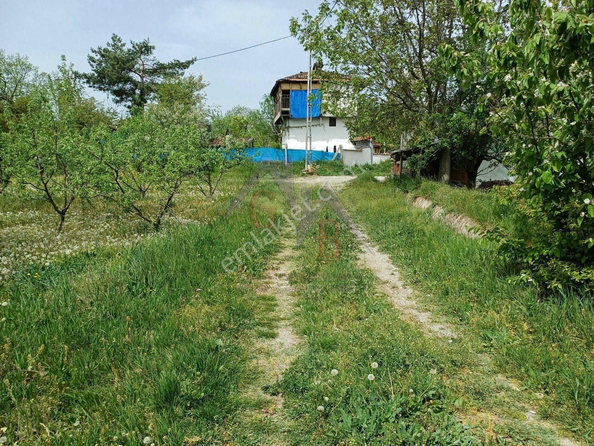 Kastamonu - Tosya Gökyer Mevkinde Satılık 1,5 Dönüm Bağ - Görsel 11