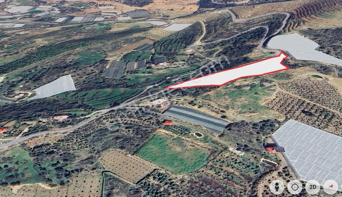 Muhteşem Konumda 1,5 Dönüm Yol Su Elektrik Olan Tarla - Görsel 5