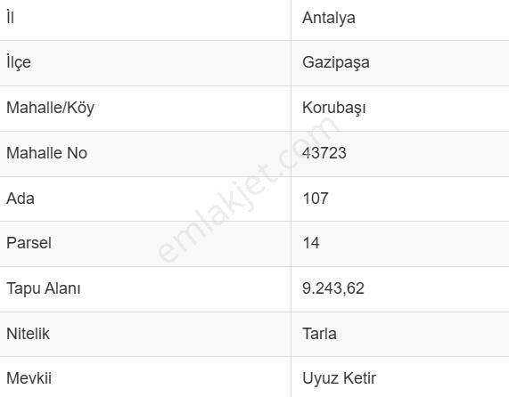 Muhteşem Konumda 1,5 Dönüm Yol Su Elektrik Olan Tarla - Görsel 3