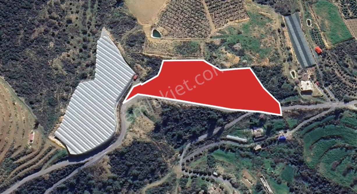 Muhteşem Konumda 1,5 Dönüm Yol Su Elektrik Olan Tarla - Görsel 4