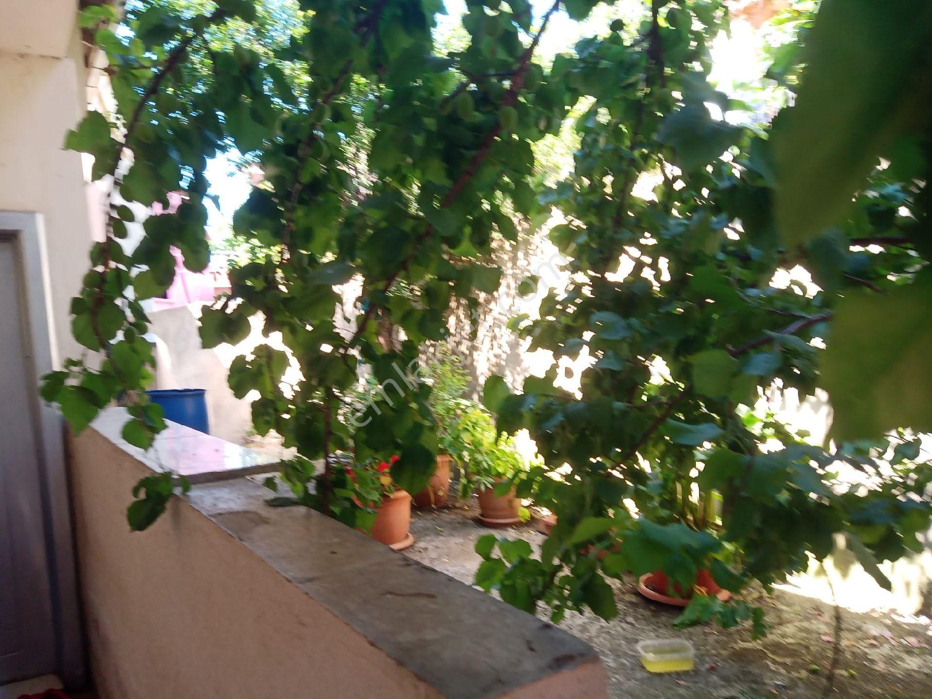 Satılık Beykoz Ortaçeşme Bağüstünde Deniz Manzaralı 3 Katlı Bina - Görsel 11