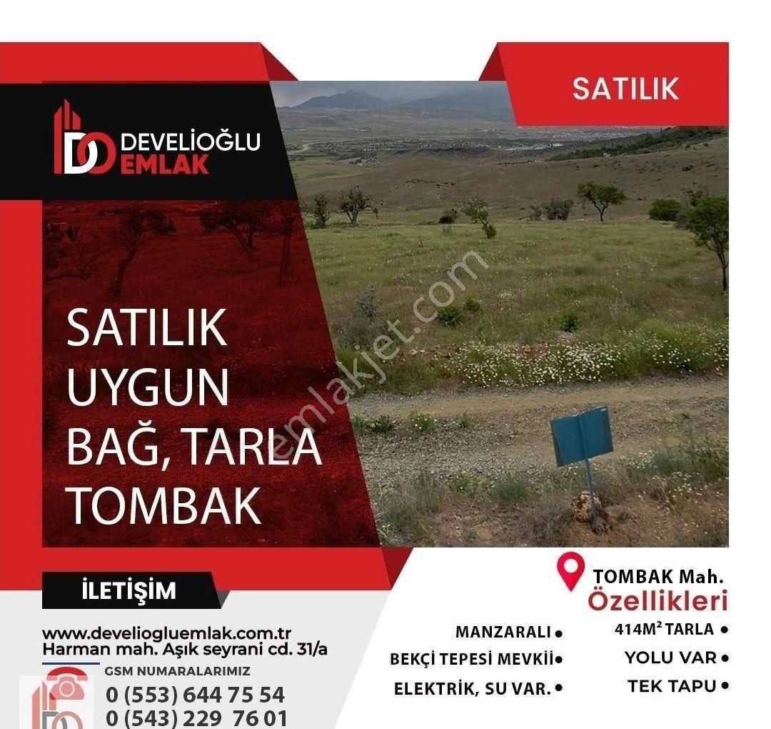 Develioğlu Emlaktan Tombak'ta Satılık Bağ, Tarla...