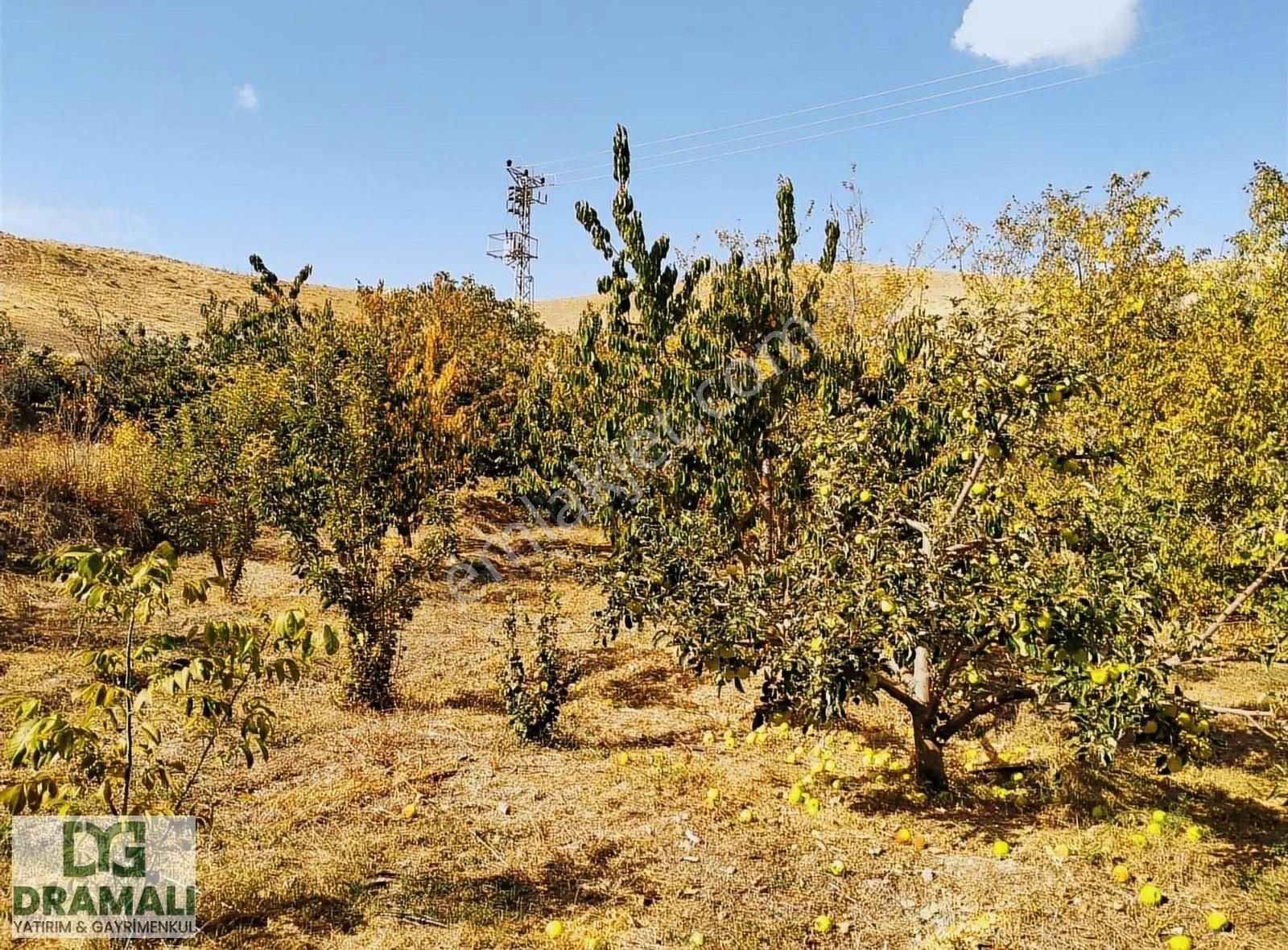 Niğde Çamardı İmarlı Arsa Ve Meyve Bahçesi Araba Takası Olur