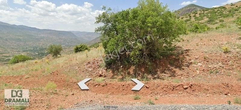 Konya Hadım Aşağı Eşenler 919 M2 Yola Cepheli Yatırım Fırsatı