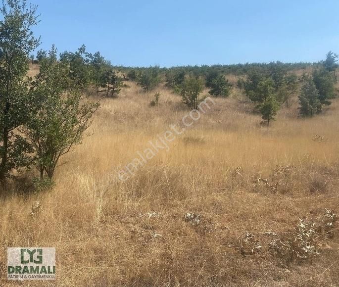 Konya Hadım Aşağı Eşenler 2.534 M2 Yola Cephe Tarla