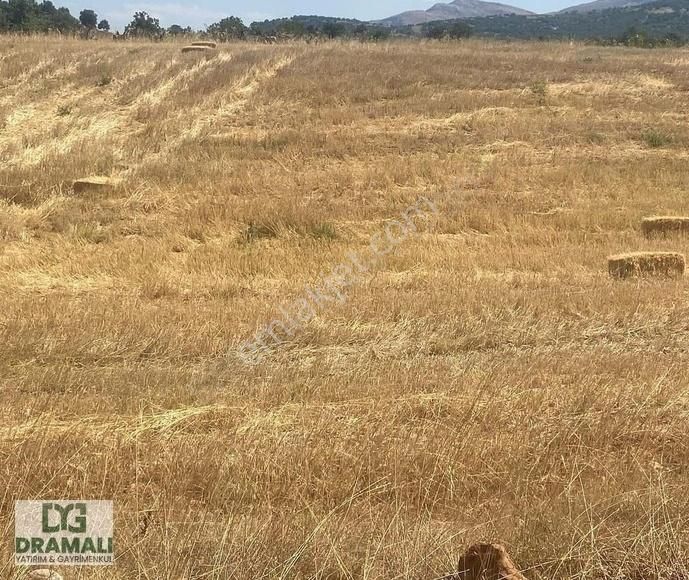Konya Hadım Aşağı Eşenler 2.5 Dönüm Yola Cephe Tarla