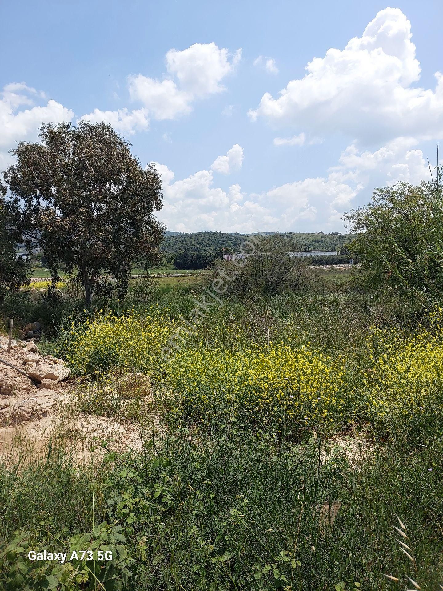 Bodrum Sazköyde Satılık