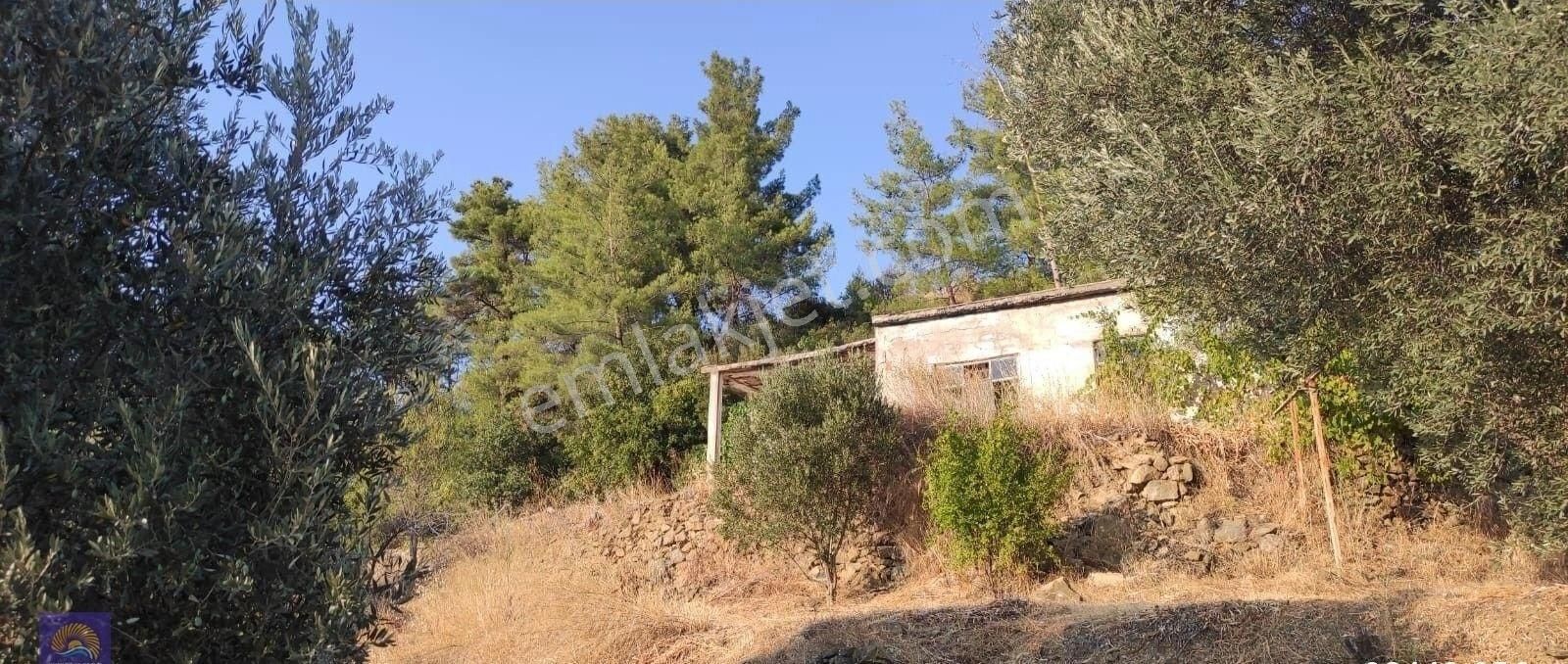 Muğla, Dalaman, Elcik 1 100 M2, Müstakil Arazide, 60 M2 Köy Ev Satılık - Görsel 2