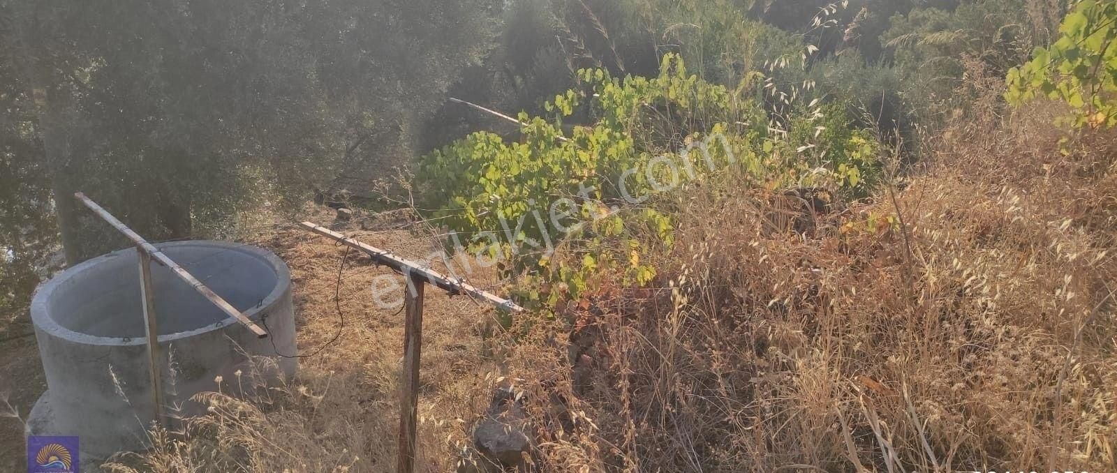 Muğla, Dalaman, Elcik 1 100 M2, Müstakil Arazide, 60 M2 Köy Ev Satılık - Görsel 4