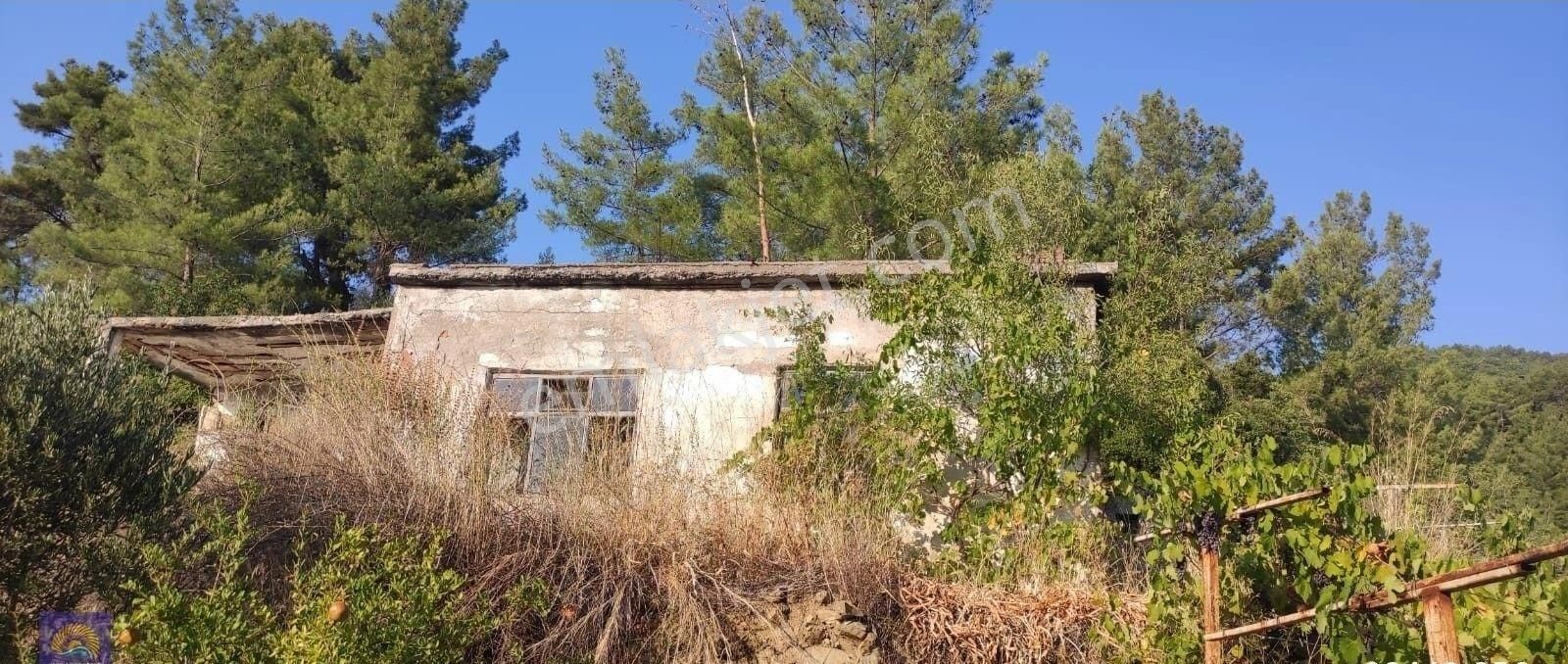 Muğla, Dalaman, Elcik 1 100 M2, Müstakil Arazide, 60 M2 Köy Ev Satılık