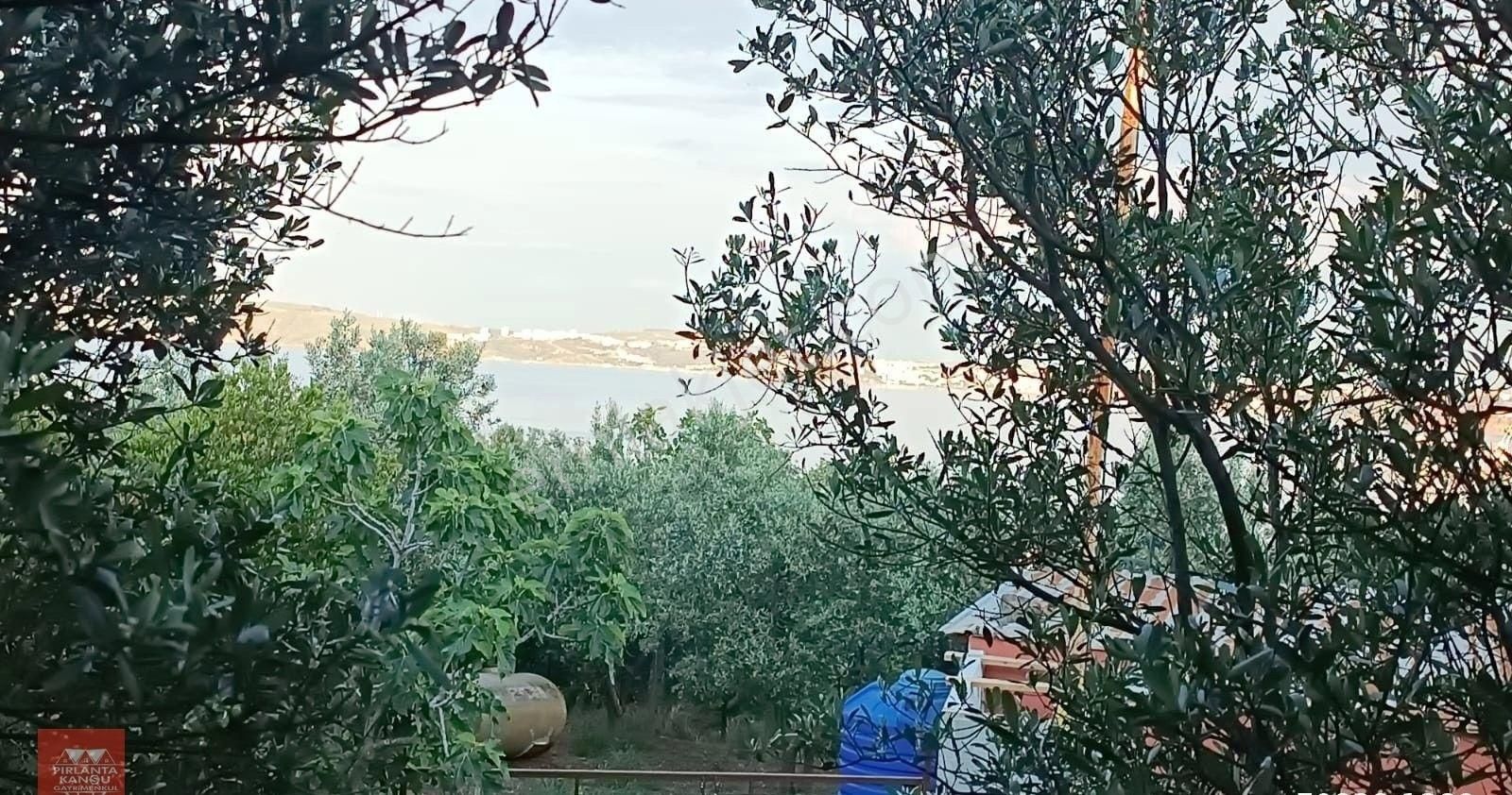 Balıkesir Erdek Aşağıyapıcı Mah. 3649 M2 Satılık Zeytinlik Deniz Manzaralı Yatırımlık