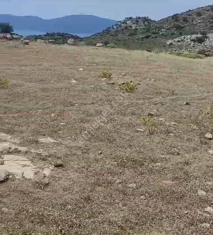 Ebrar&can'dan Yassıbalık 916 Metrekare