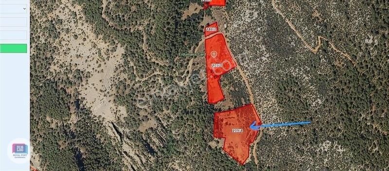 Isparta Sütçüler Yeşilyurt Köyü Doğa Manzaralı Satılık Tarla