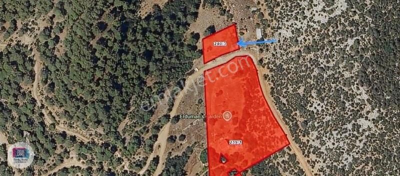 Isparta Sütçüler Yeşilyurt Köyü Doğa Manzaralı Satılık Tarla