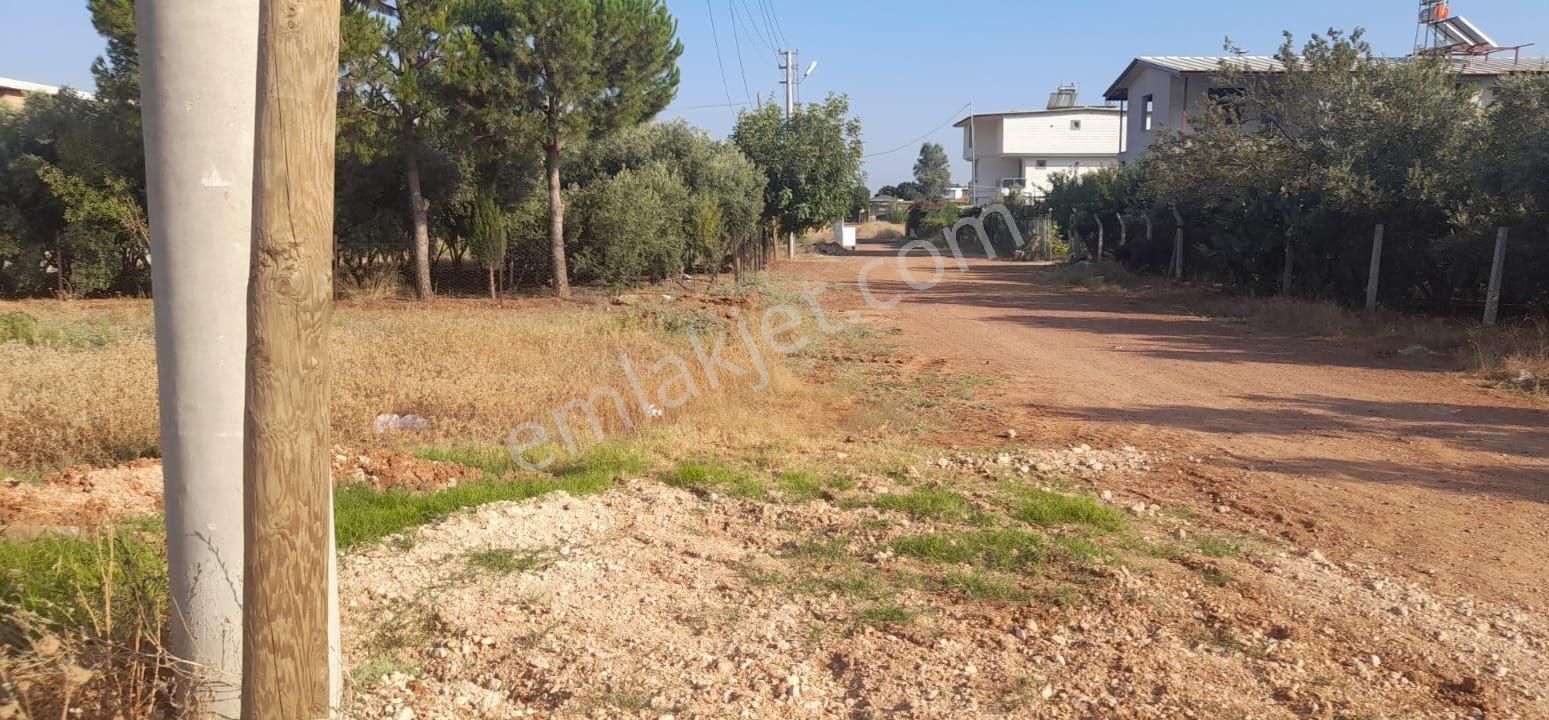 Stad Karşısı 518 M² Köşe Arsa - Görsel 3