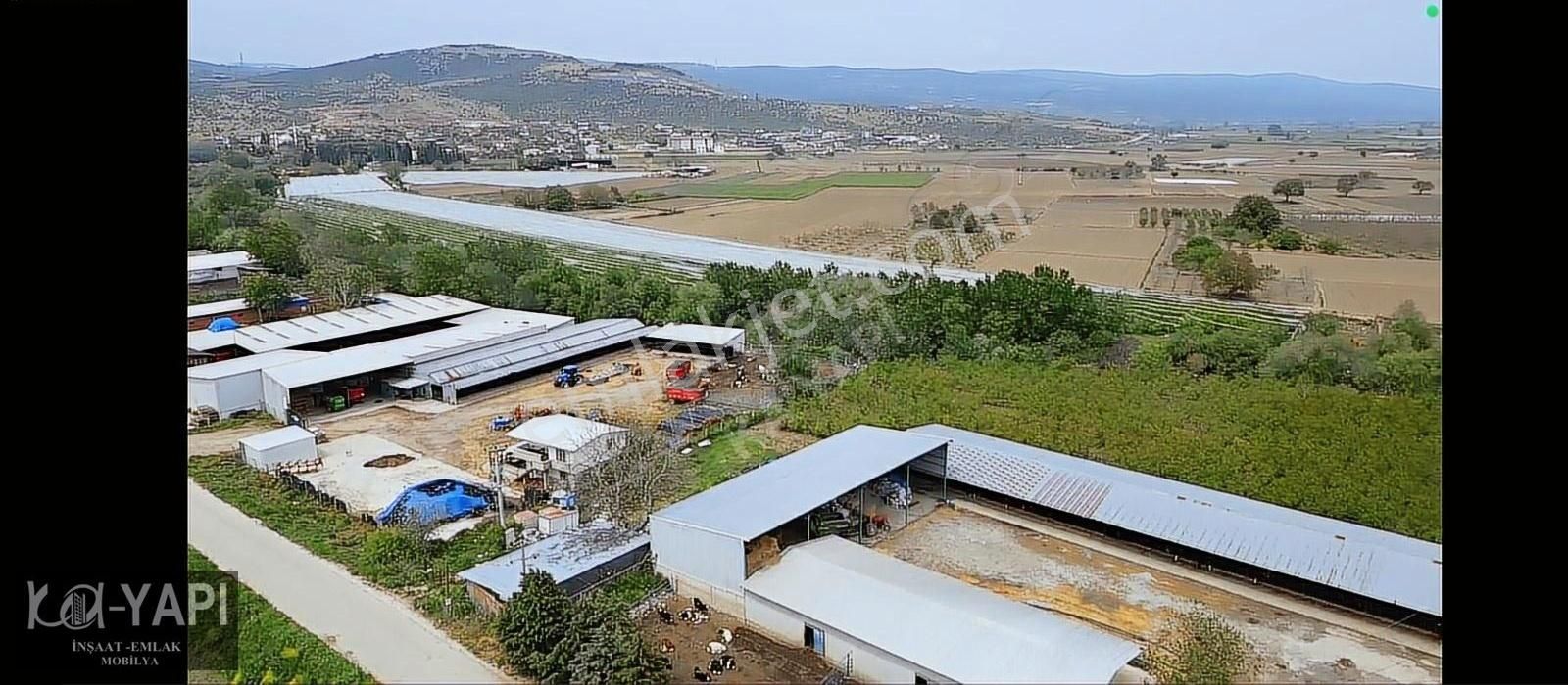 Taşlık Karacabey Arası İmara Gebe Bölgede 7500m2 Yatırım Fırsatı - Görsel 5