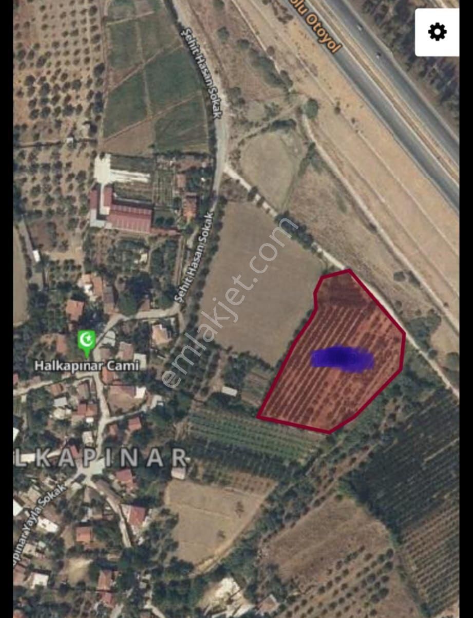 Satılık Tarla