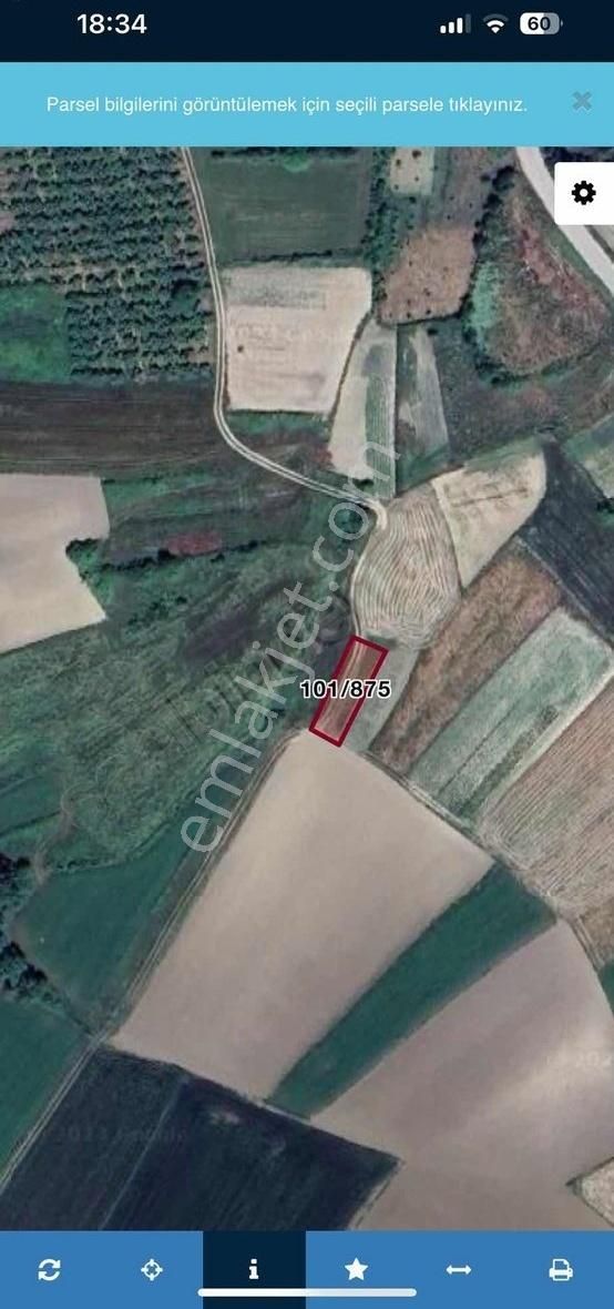 Sakarya Kaynarca Uğurlu Mahallesi