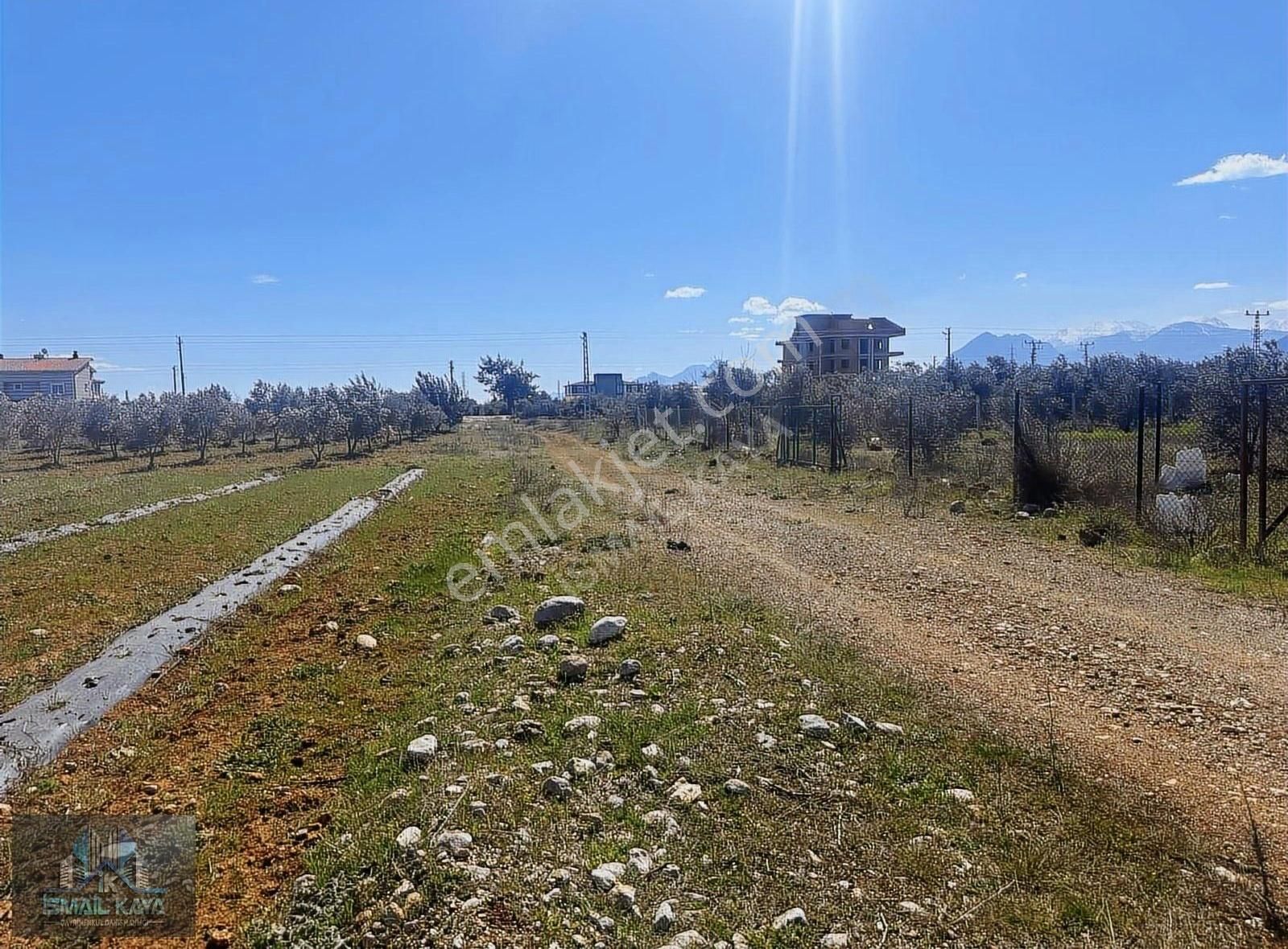 Altınkale Migros Arkası 671 M2 Parsel
