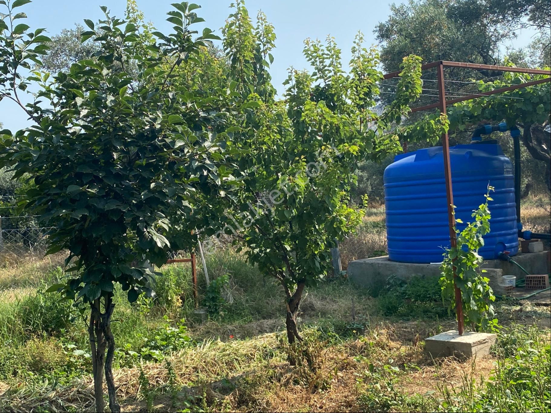 İzmir Bayındır Satılık Bahçe . - Görsel 6