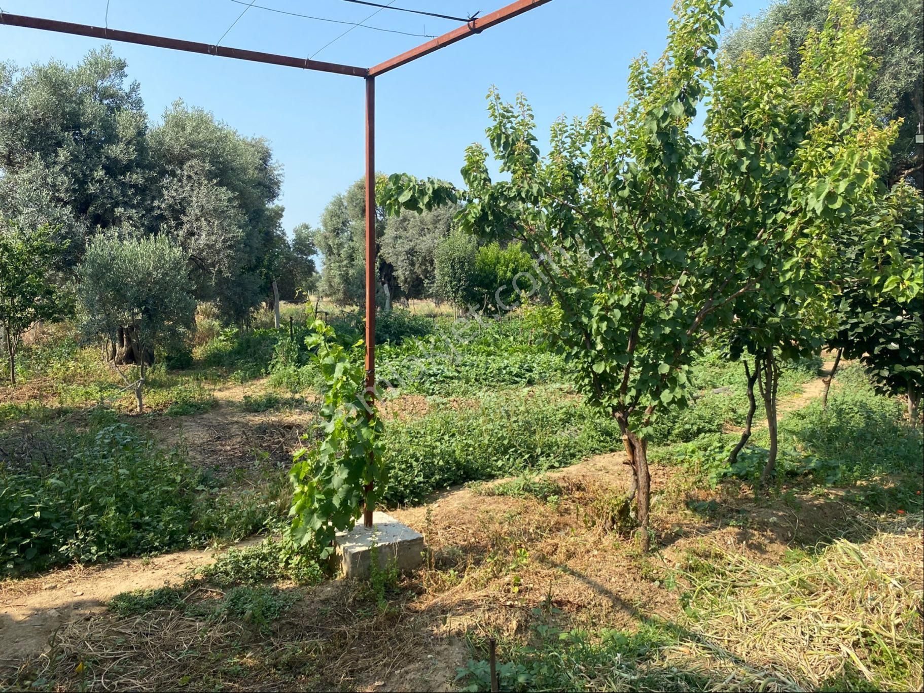 İzmir Bayındır Satılık Bahçe . - Görsel 18