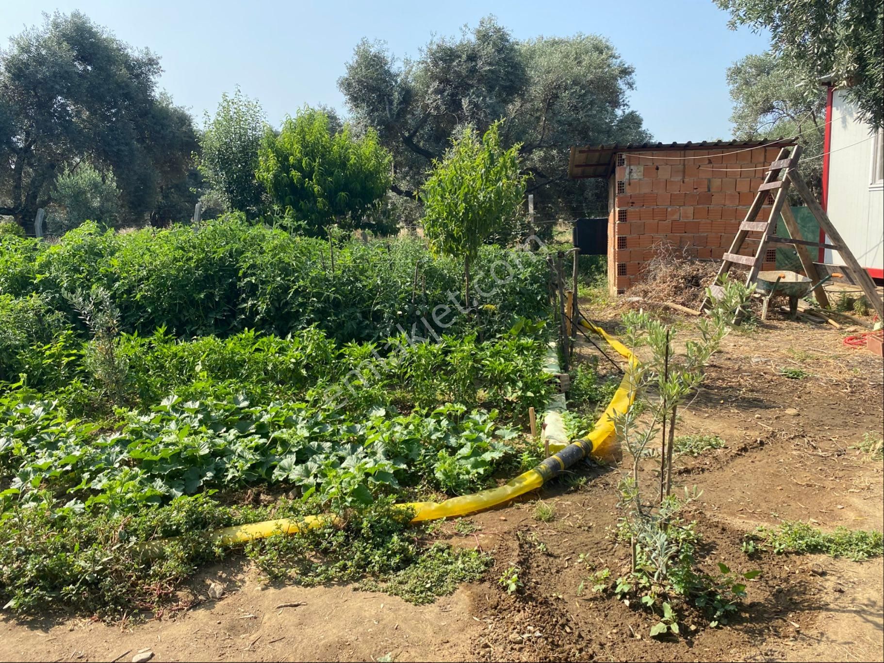 İzmir Bayındır Satılık Bahçe . - Görsel 7