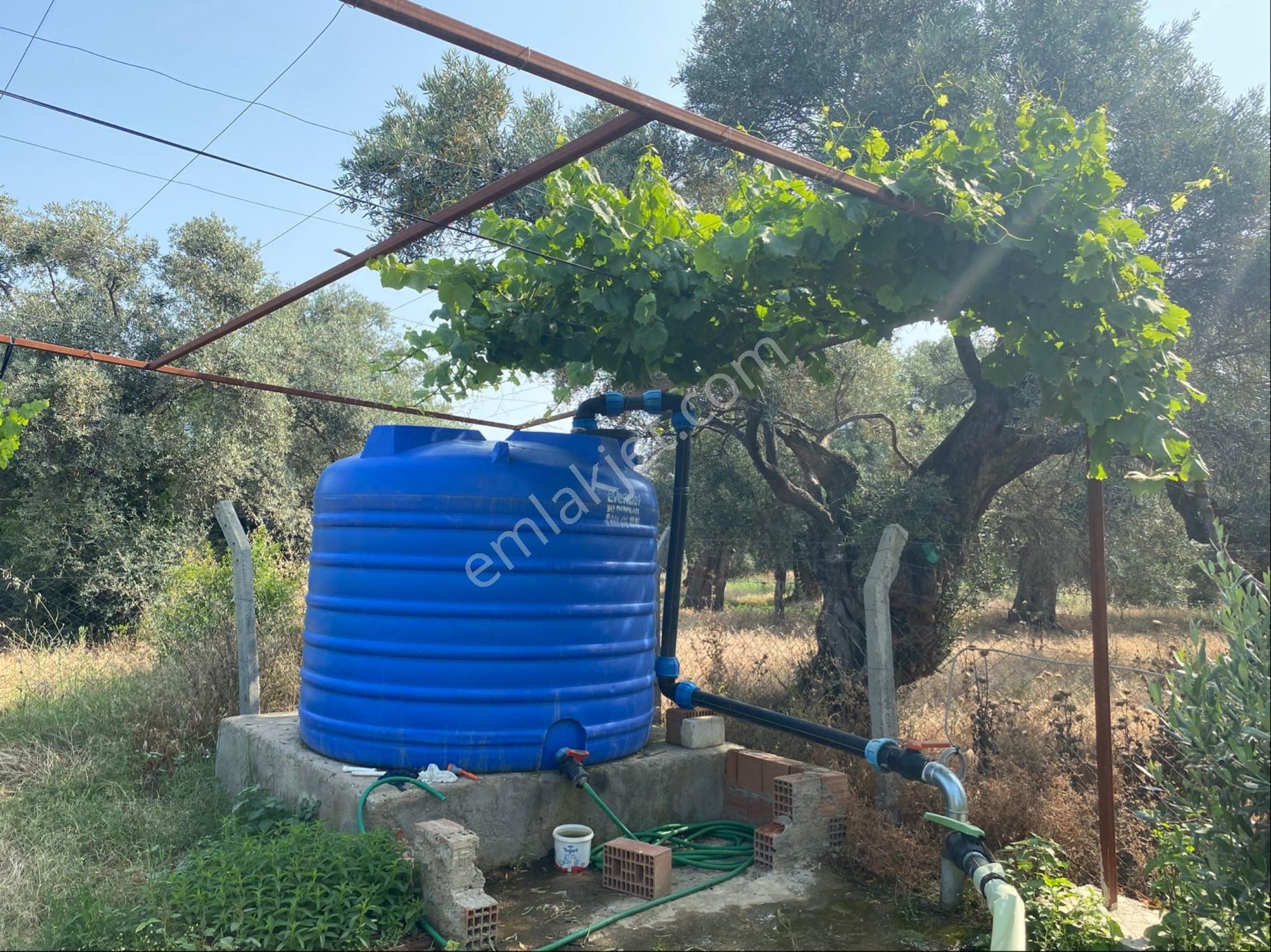 İzmir Bayındır Satılık Bahçe . - Görsel 21