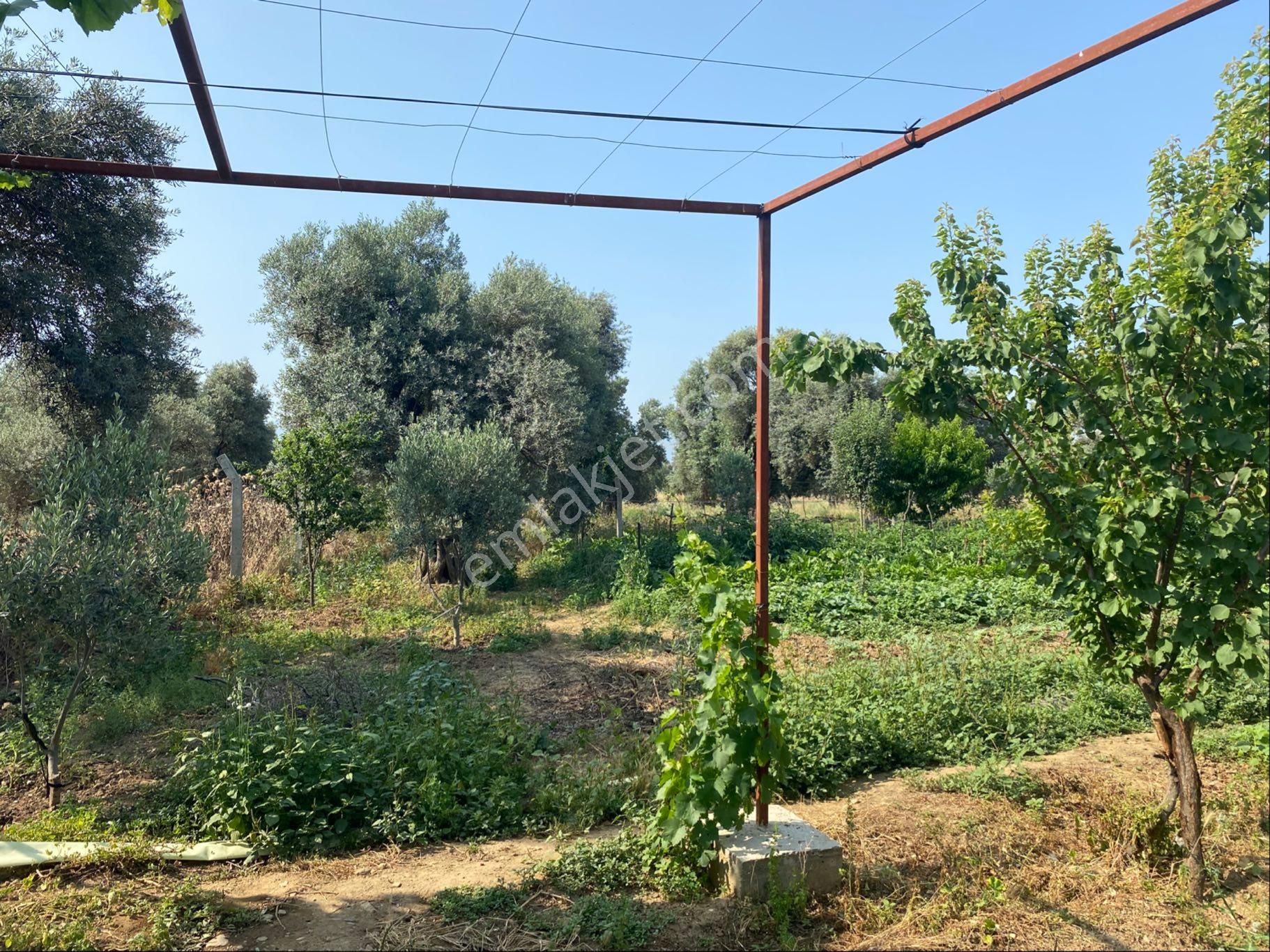 İzmir Bayındır Satılık Bahçe . - Görsel 17