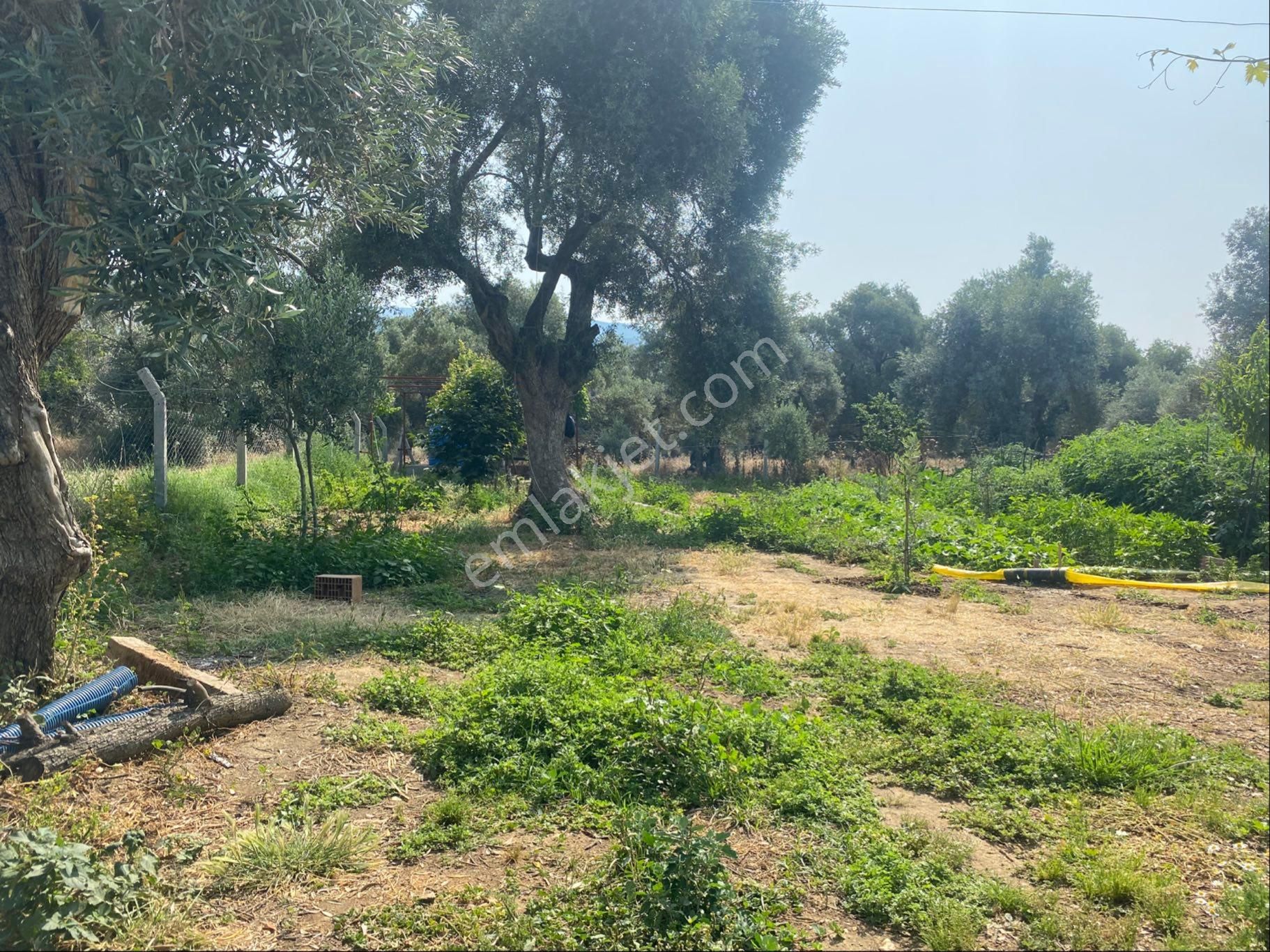 İzmir Bayındır Satılık Bahçe . - Görsel 2