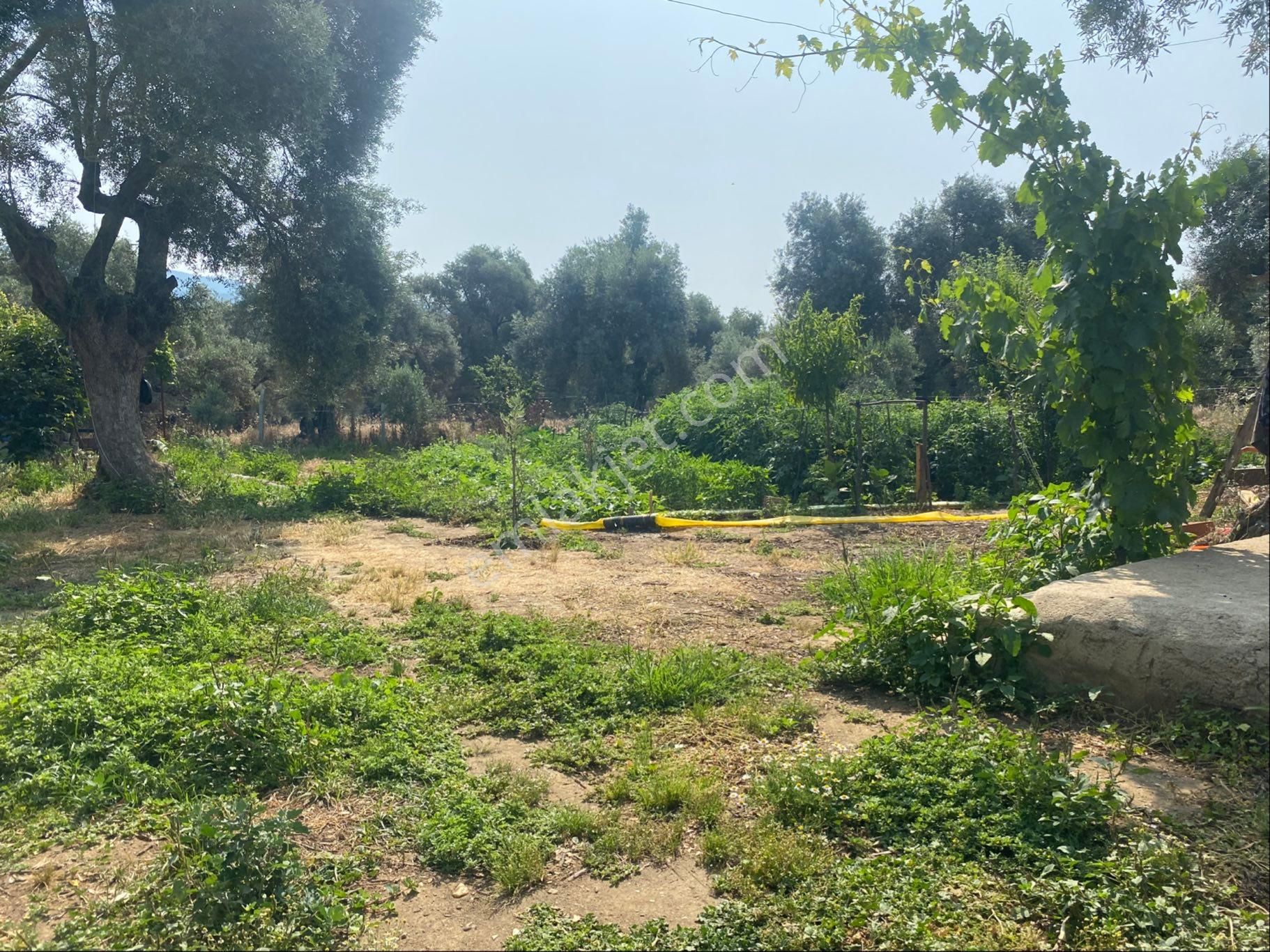 İzmir Bayındır Satılık Bahçe . - Görsel 3