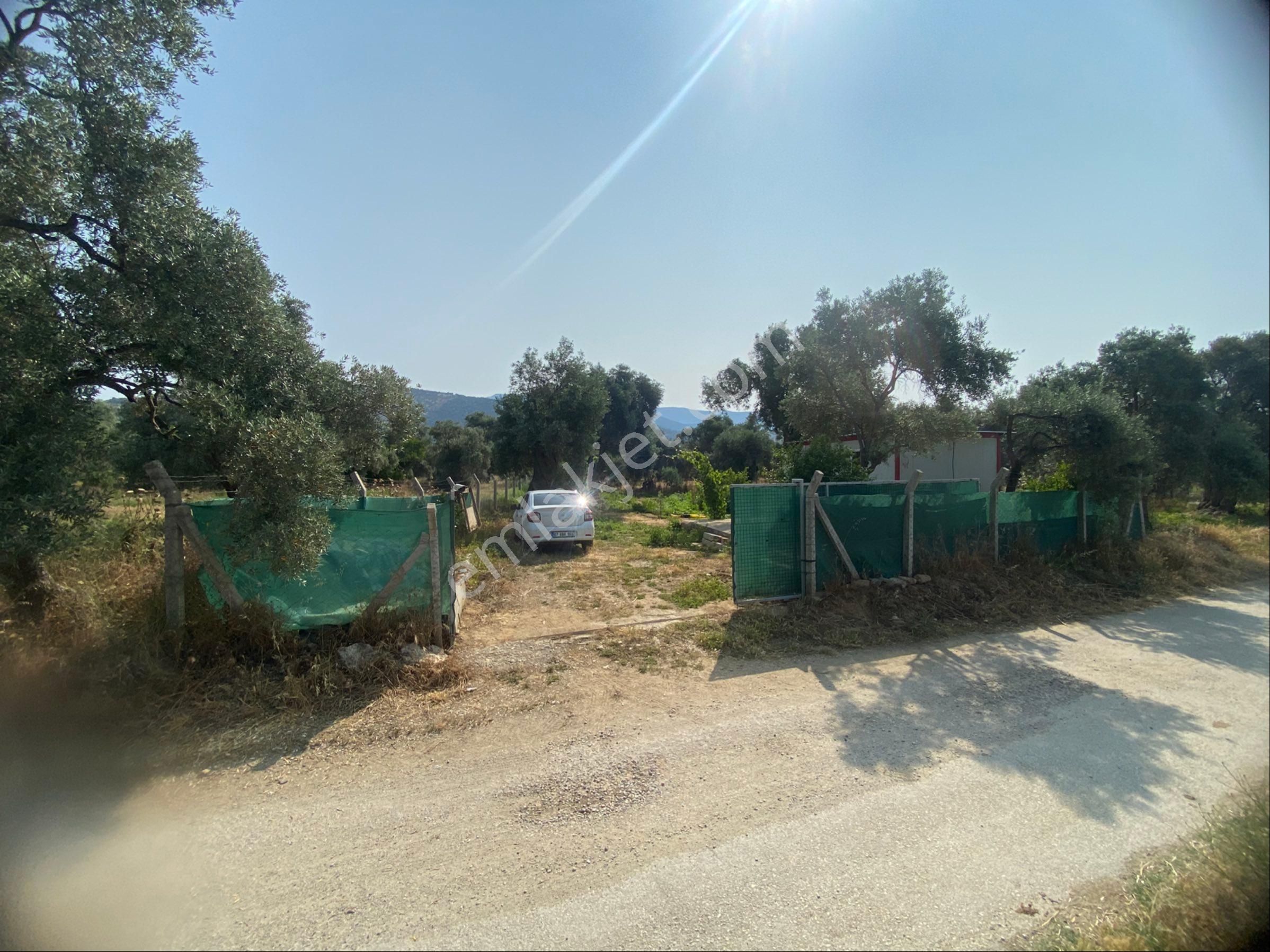 İzmir Bayındır Satılık Bahçe . - Görsel 10