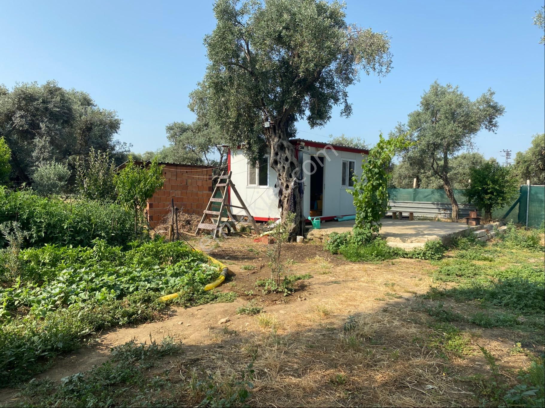 İzmir Bayındır Satılık Bahçe . - Görsel 16