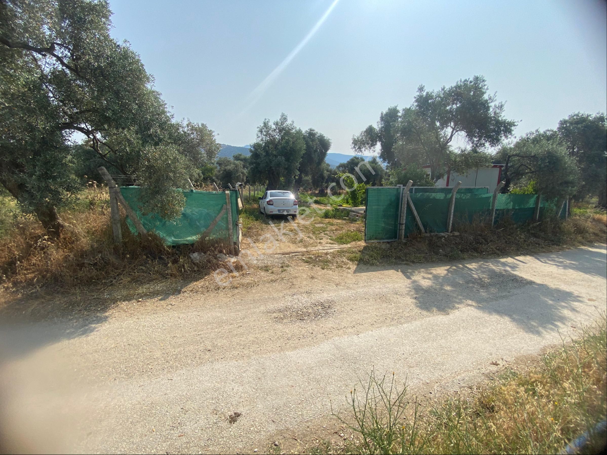 İzmir Bayındır Satılık Bahçe . - Görsel 11