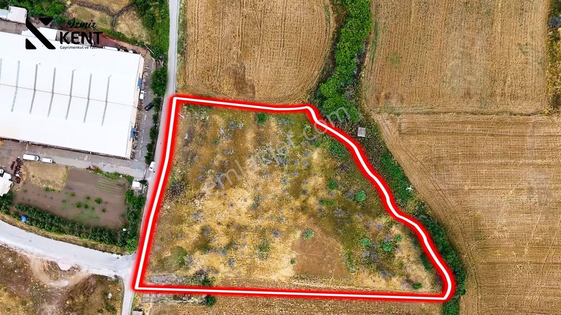 Bağyurdu Yeni 9922 M2 Satılık Tarla