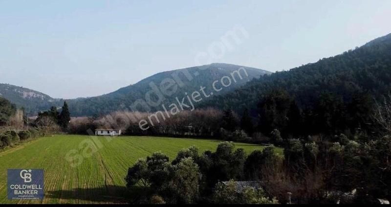 Menderes Çile'de Cb Poyrazdan 14710 Mt2 Numrtajlı Evi Olan Arazi