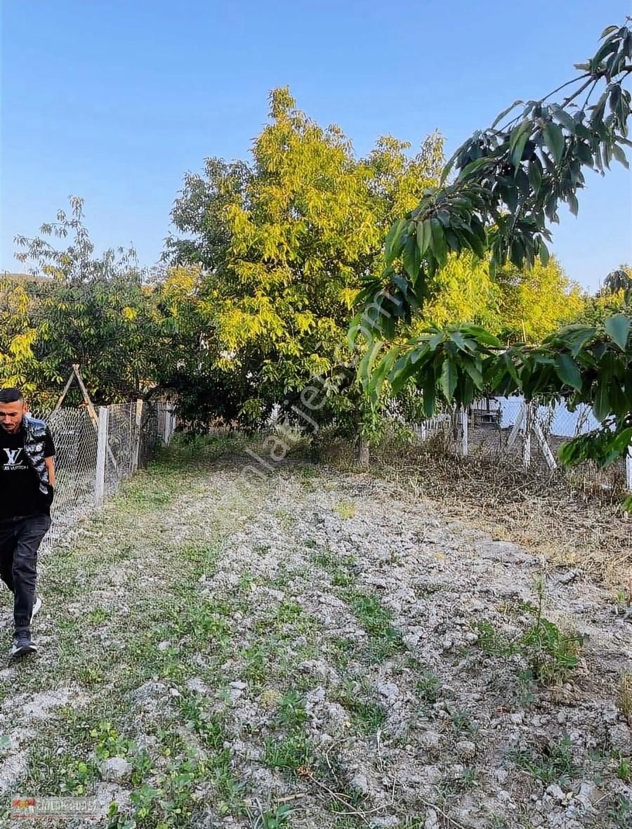 Kuşadası Kirazlı Da Satılık Tarla
