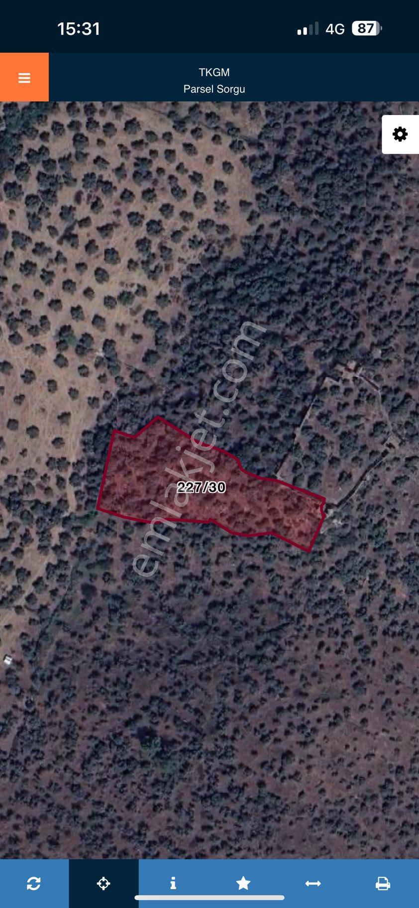 Muğla Milas Bafra Gölünde Satılık Zeytinlik - Görsel 4