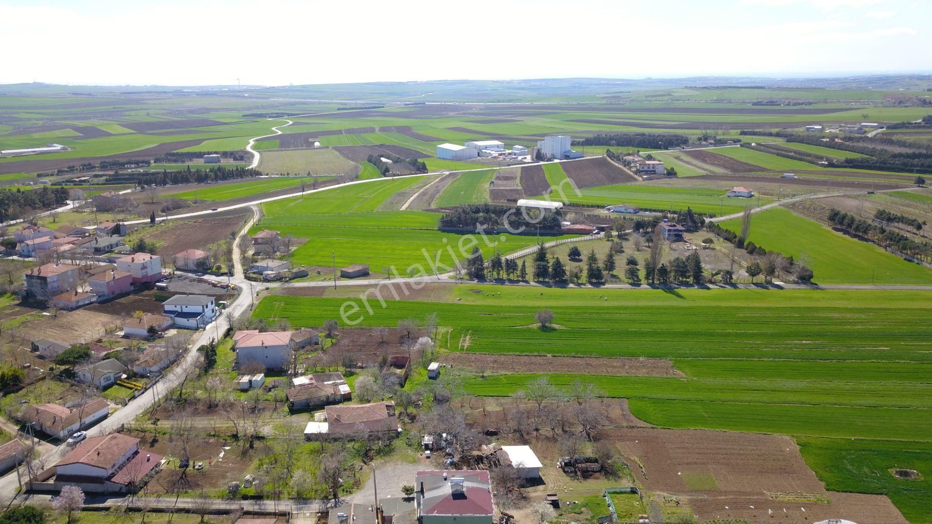 Ege Gayrimenkulden Silivri Seymende 3200 M2 Tarla