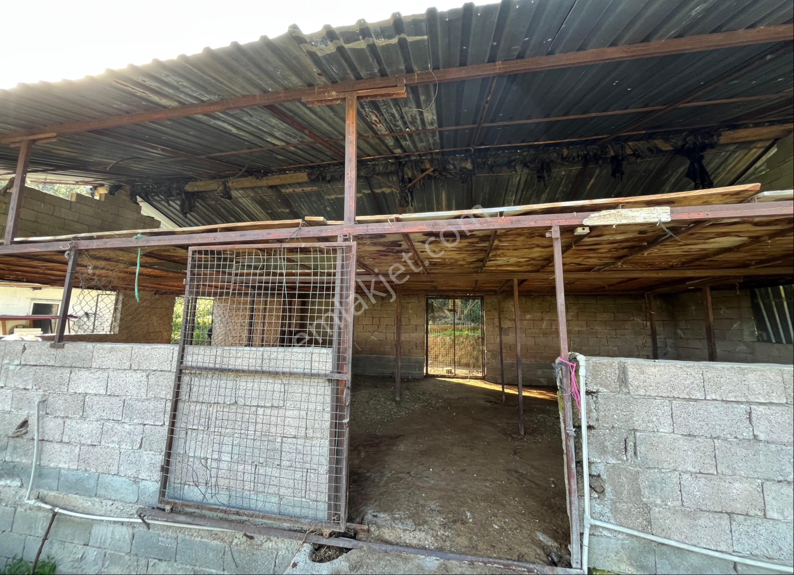 Fethiye Yanıklarda Satılık Tarla