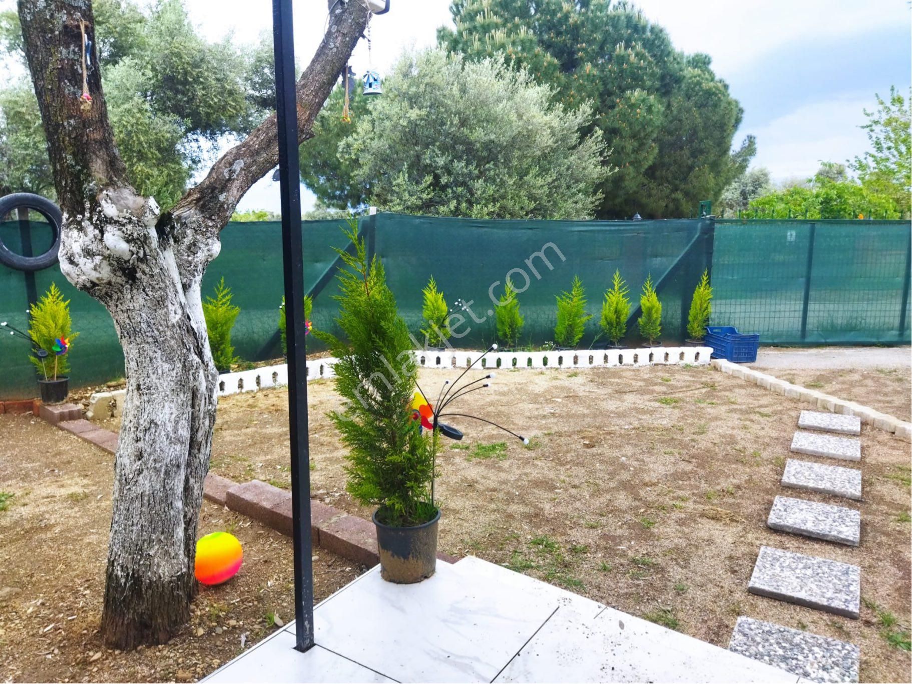 İzmir Bayındır Zeytinovamh Satlık Bahçe - Görsel 6