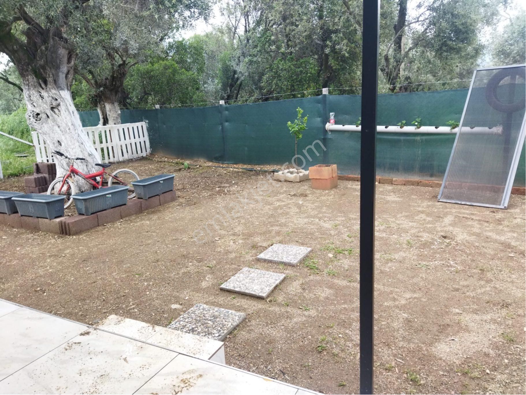 İzmir Bayındır Zeytinovamh Satlık Bahçe - Görsel 8