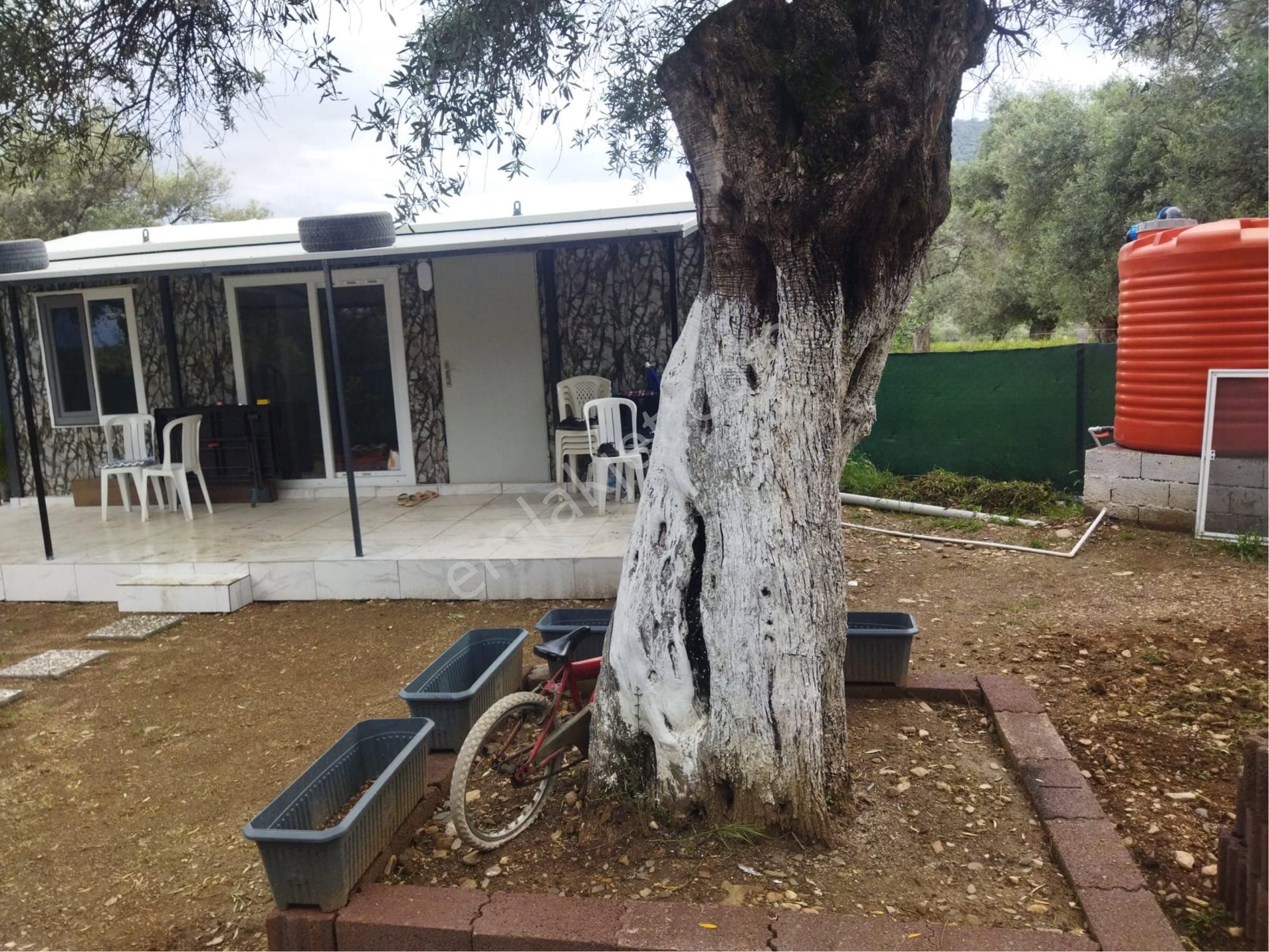 İzmir Bayındır Zeytinovamh Satlık Bahçe - Görsel 3