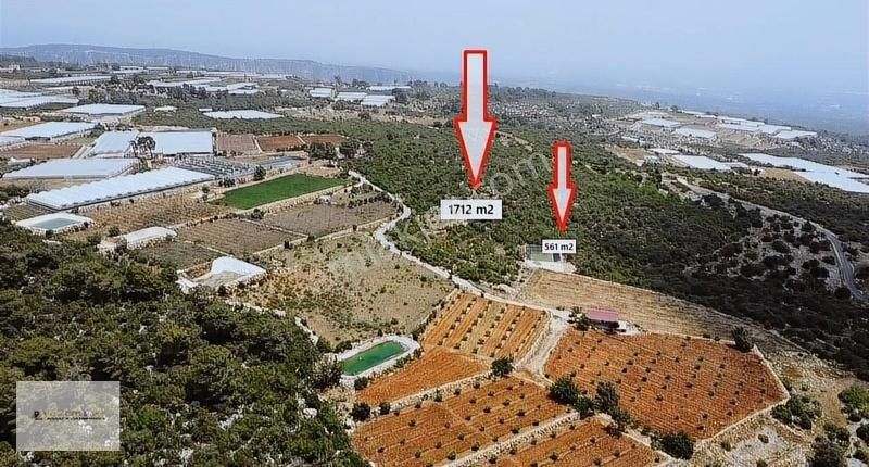 Erdemli Çiriş Mahallesi Tek Tapu 2273 M2 Deniz Manzaralı
